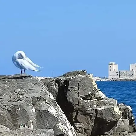 Romaseven *