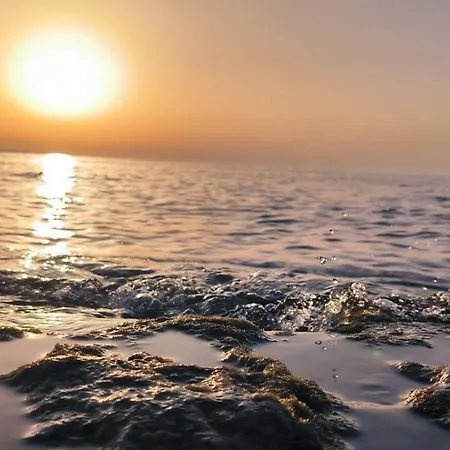 Romaseven Giovinazzo